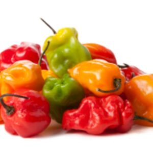 PIMENT FRAIS EN VRAC