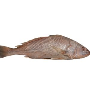 CROACKER