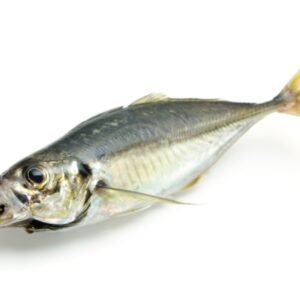 CHINCHARD