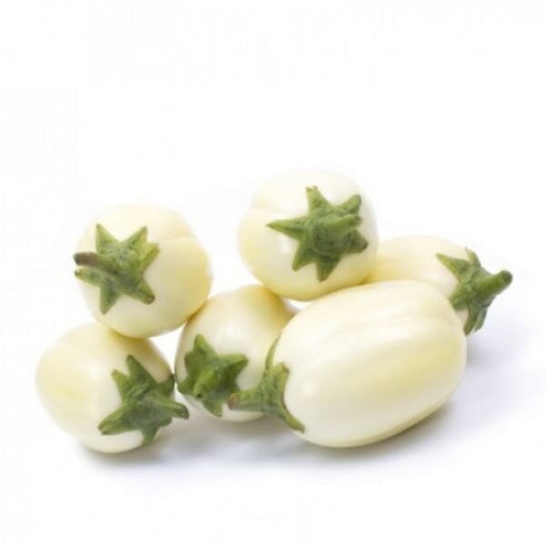 AUBERGINES AFRICAINES