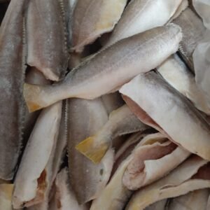 BANGAMARY FISH