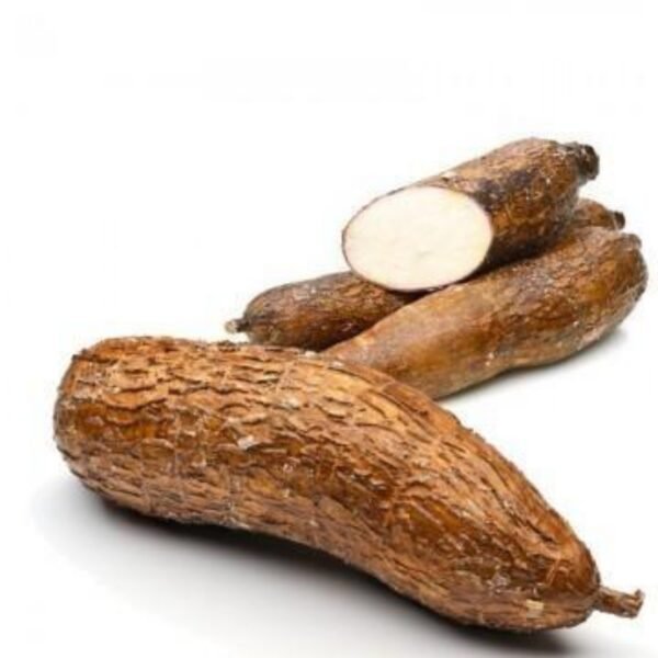 MANIOC/YUCA TUBERCULE