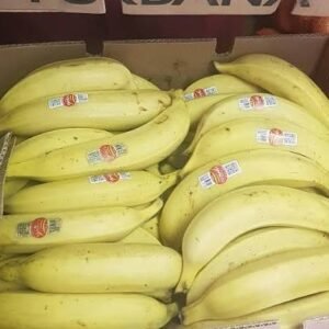 1/2 BOÎTE PLANTAINS