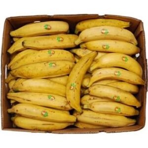 BOITE PLANTAINS